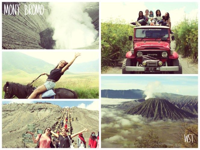 Mont Bromo Women Sense Tour WST
